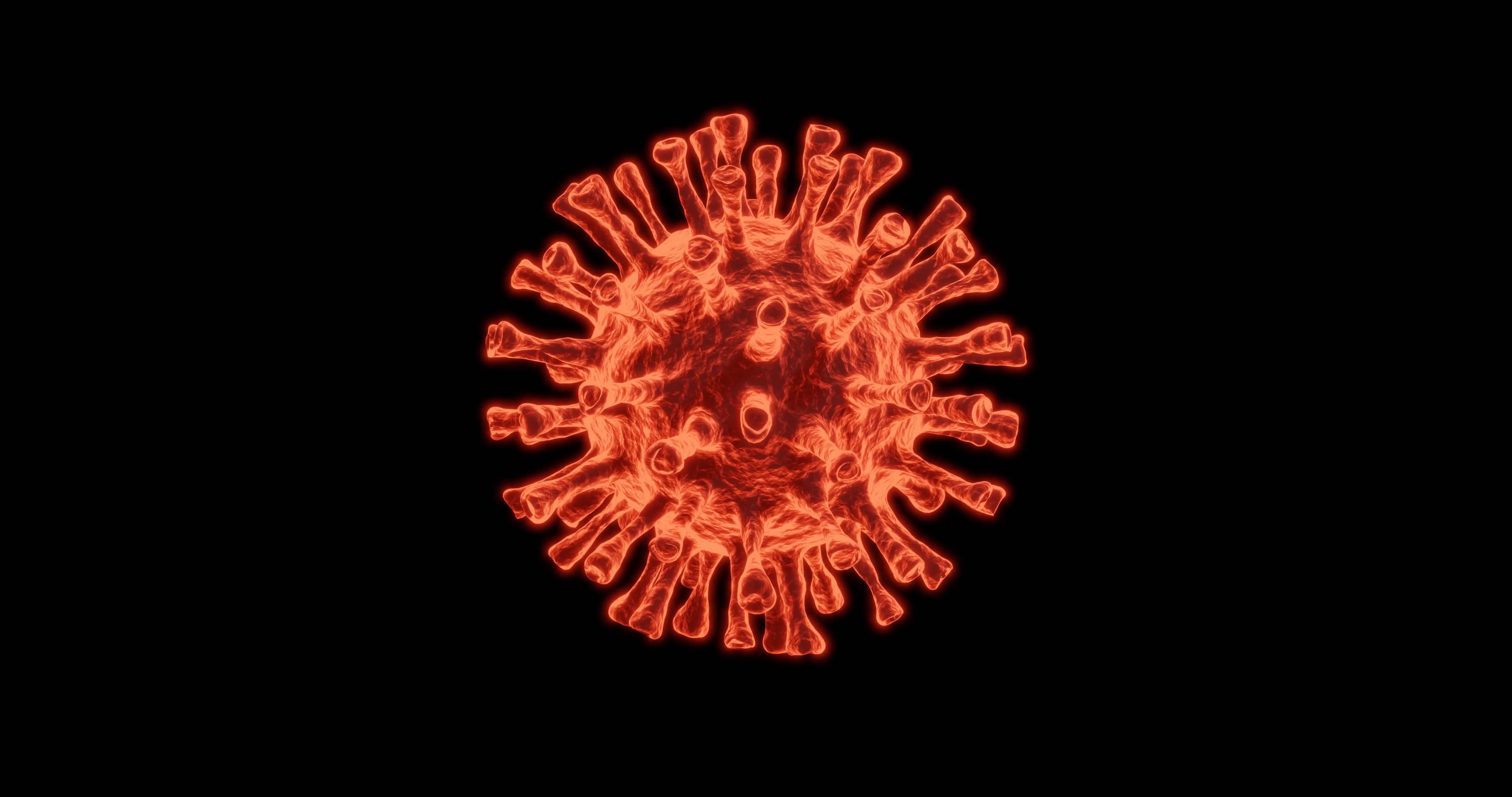 Virus Coronavirus