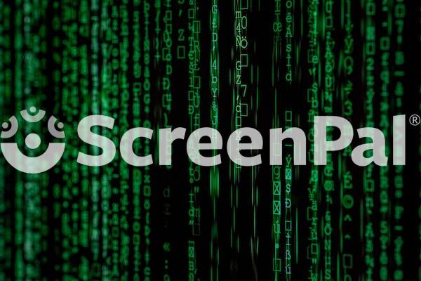 Close Up Photo Of Matrix Background