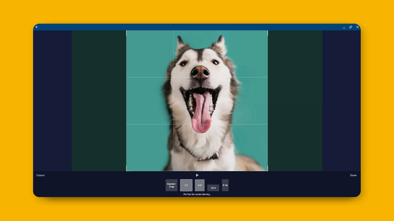 Crop and Rotate For Easy Sharing