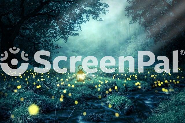 Night Forest Glowworm Light